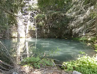 Сините води на част от Мътното езеро