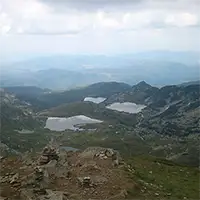 Трилистника