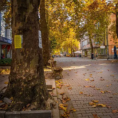 Центърът на град Дулово