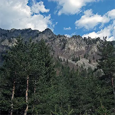 Rila (natsionalen park)