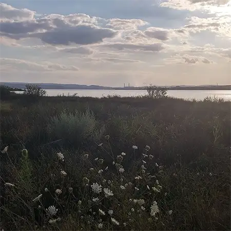 Варненско езеро