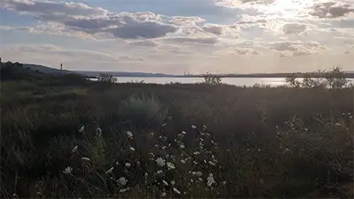 Варненско езеро