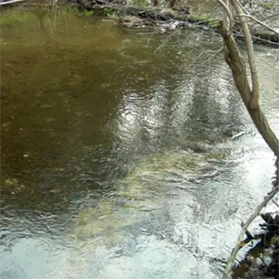 Войнишка река