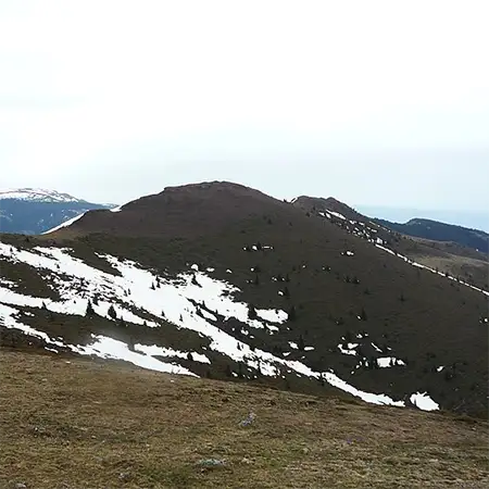 Връх Амбарица