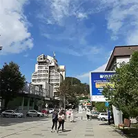 Биело поле
