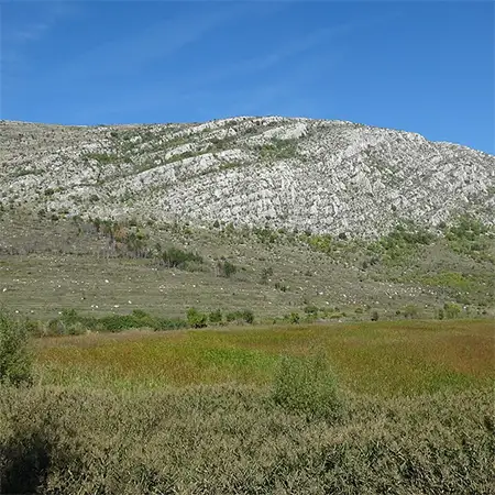 Чепън