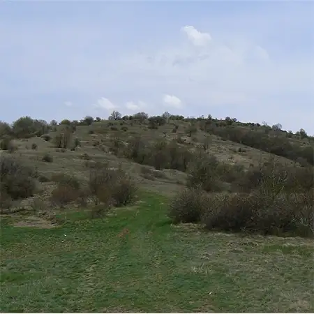 Черна гора (планина)