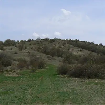 Черна гора (планина)