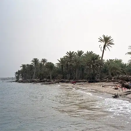 Червено море