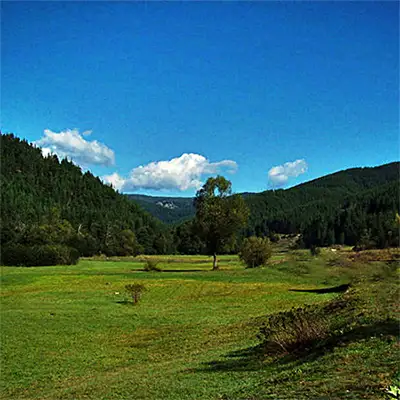 Еленска котловина
