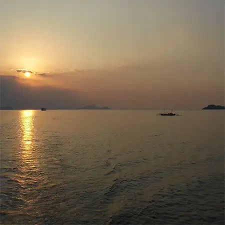 Флорес (море)