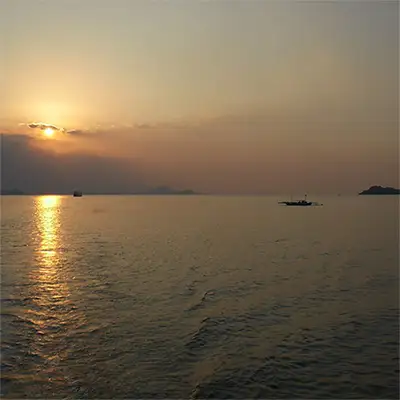 Флорес (море)