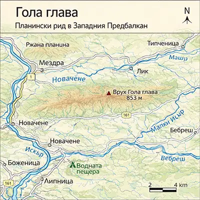 Гола глава