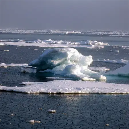 Източносибирско море