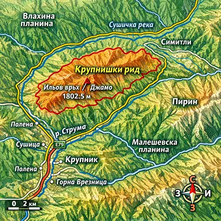 Крупнишки рид
