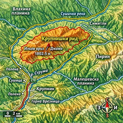 Крупнишки рид