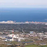Маарду