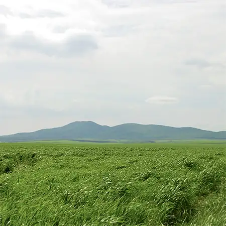 Манастирски възвишения