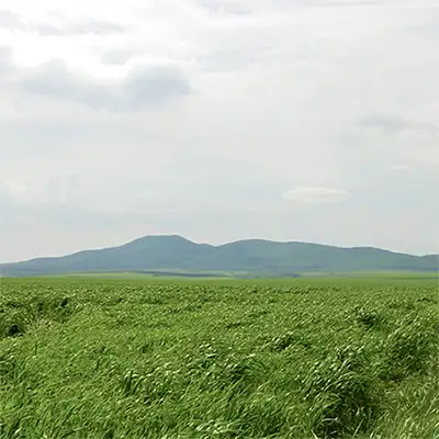 Манастирски възвишения