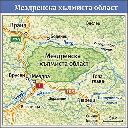Мездренска хълмиста област
