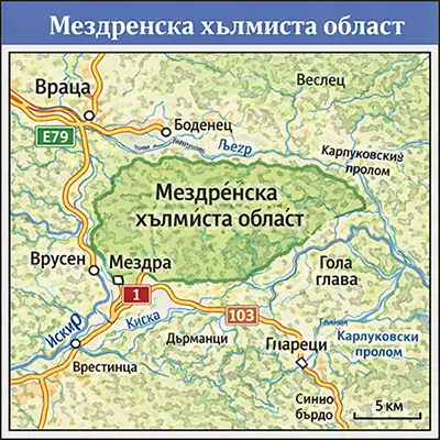 Мездренска хълмиста област