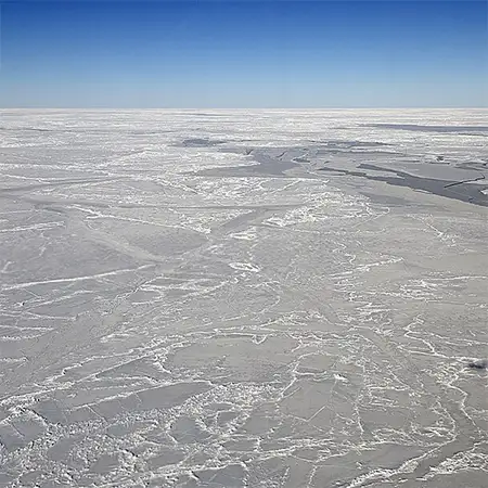 Море Уедъл