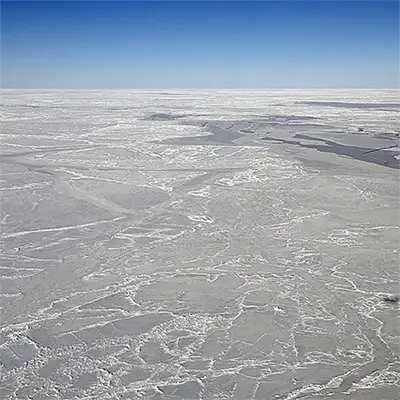 Море Уедъл