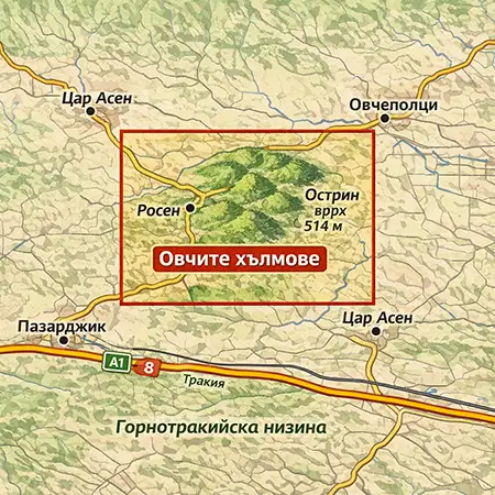 Овчи хълмове