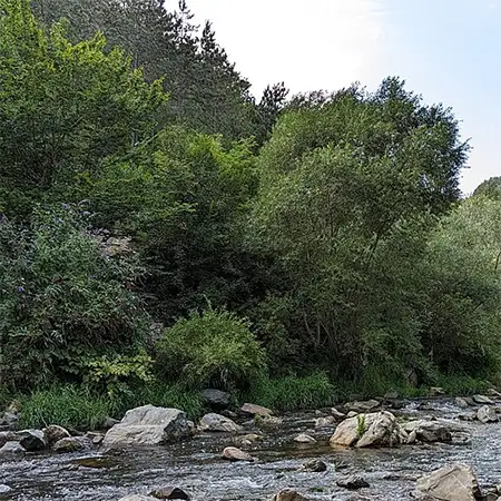 Река Черна