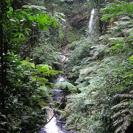 Рукарара