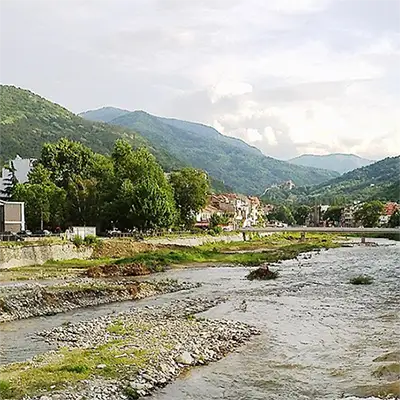 Асеница