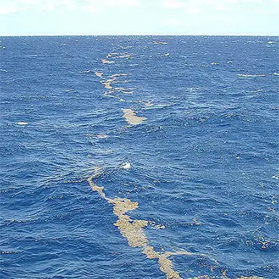 Саргасово море