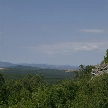 Сърта (рид)