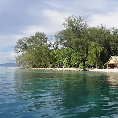 Соломоново море
