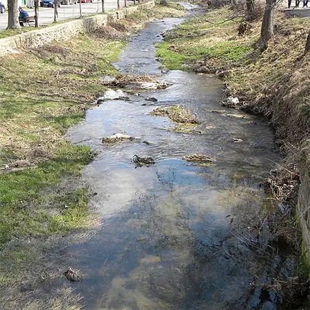 Турийска река