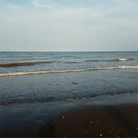 Яванско море