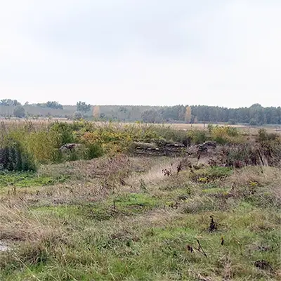 Чернополска низина