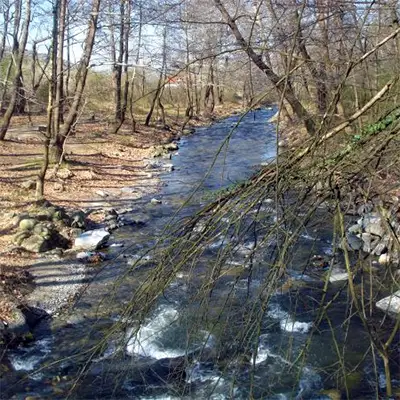 Кралевска река