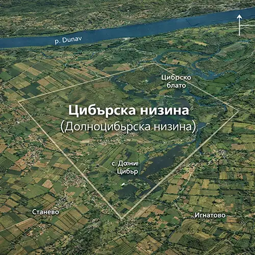 Подробна топографска карта на Цибърска низина
