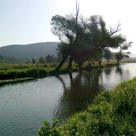 Радова река