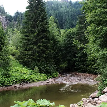 Чаирдере