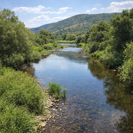 Каламица