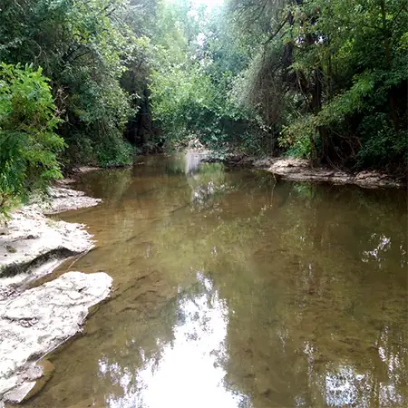 Река Каменица