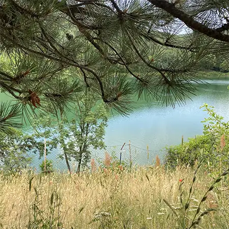Кумруджа
