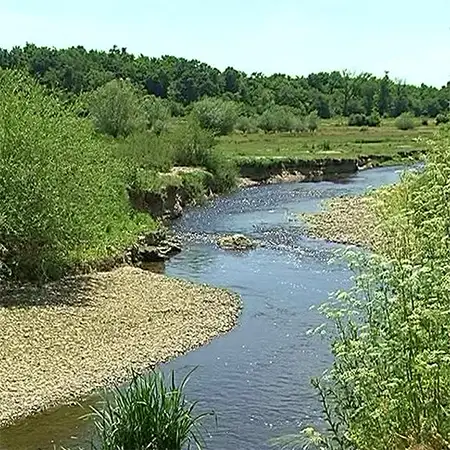 Река Мечка