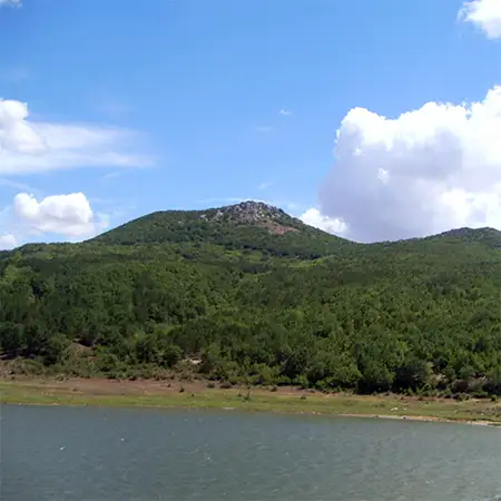 Пакуша