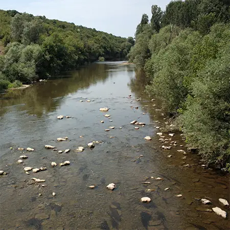 Шаварна
