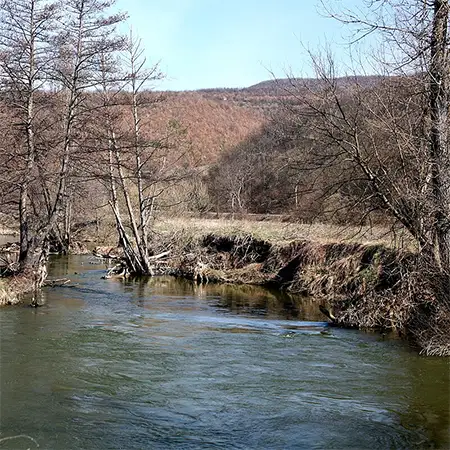 Река Явор