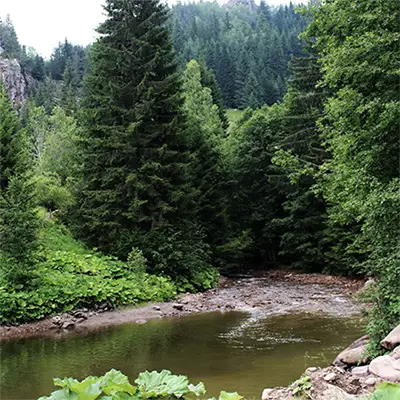 Чаирдере