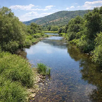 Каламица